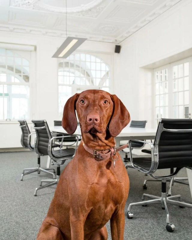Portrait von Chica, Security, Junior Wellbeing-Managerin
